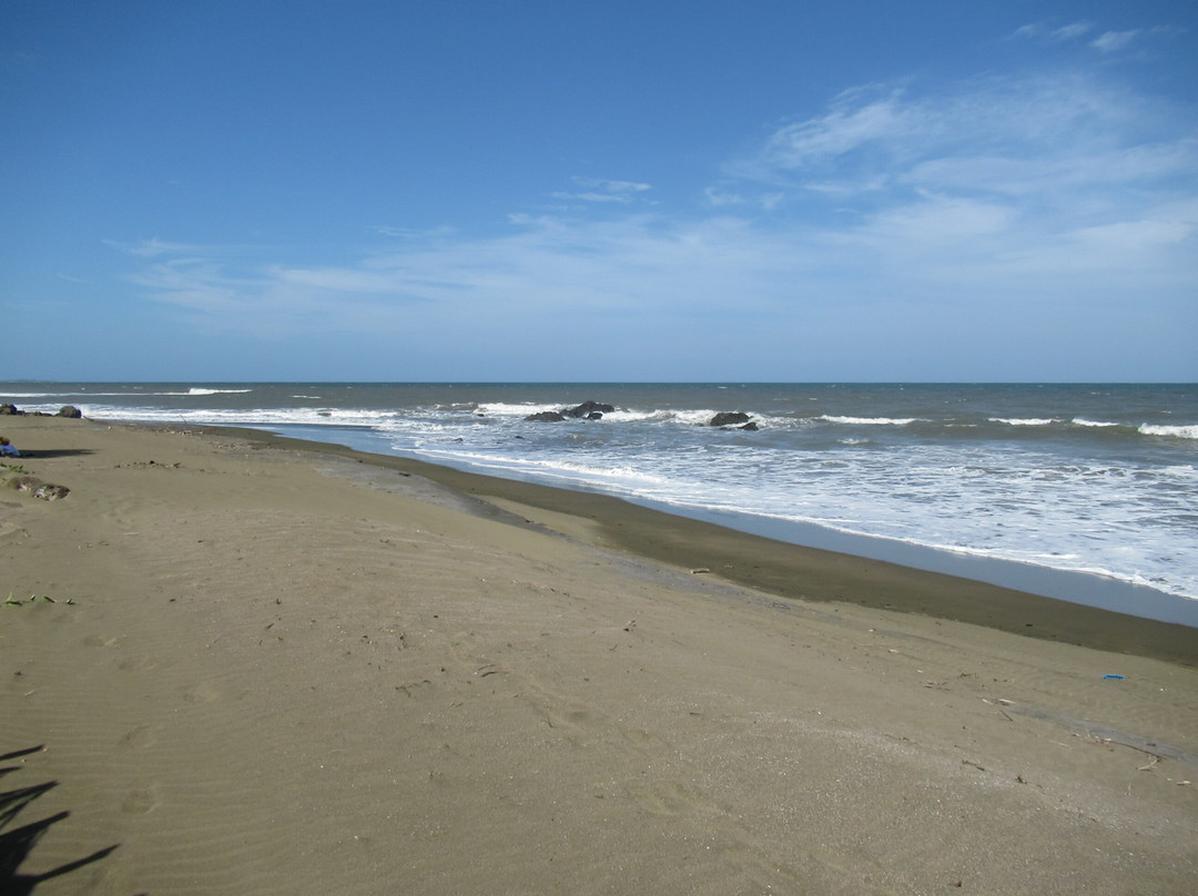 Playa Toro景点图片