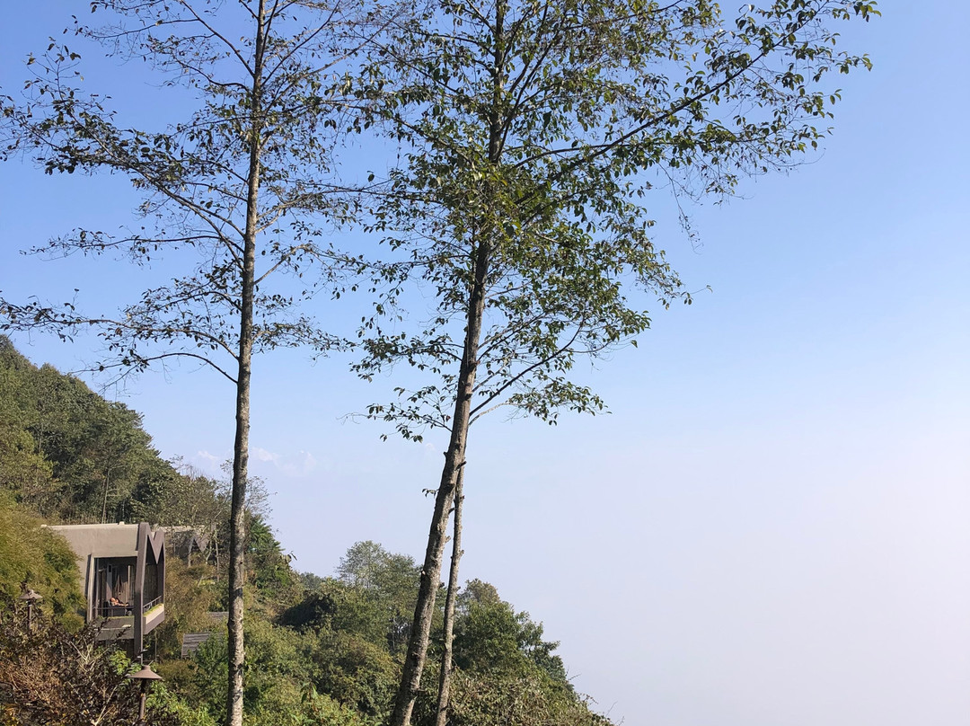 Kavya Himalayas主图