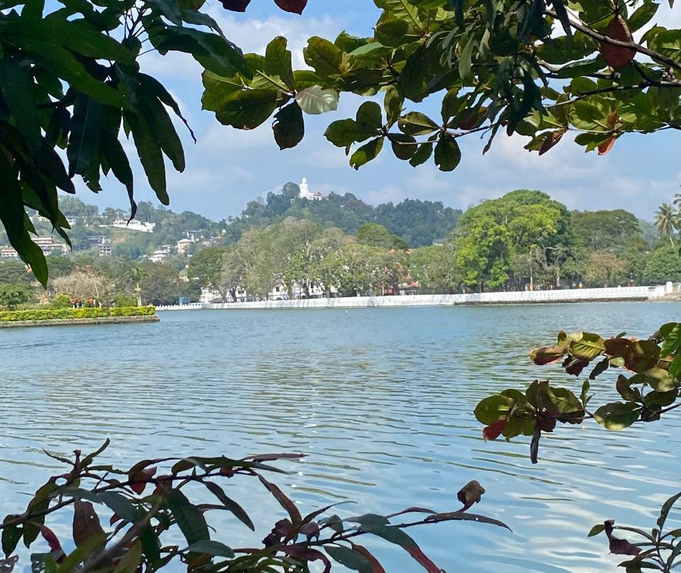Wingsbrya Travels景点图片