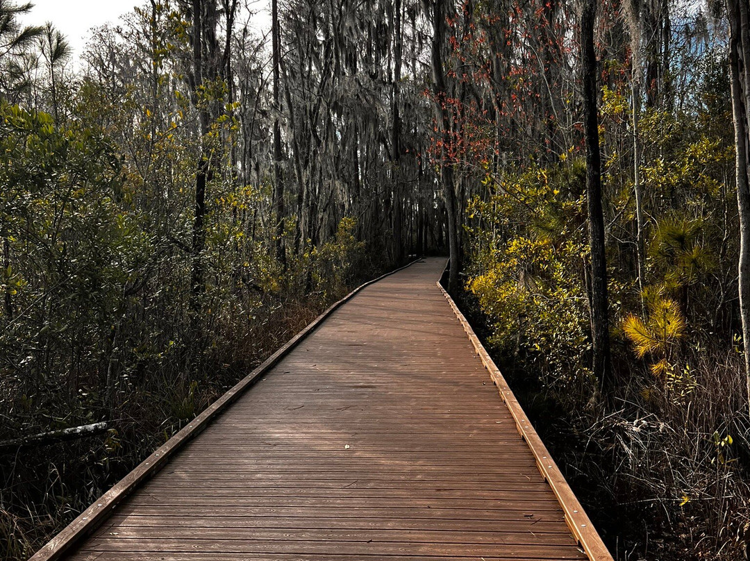 Okefenokee National Wildlife Refuge-Folkston必去景点