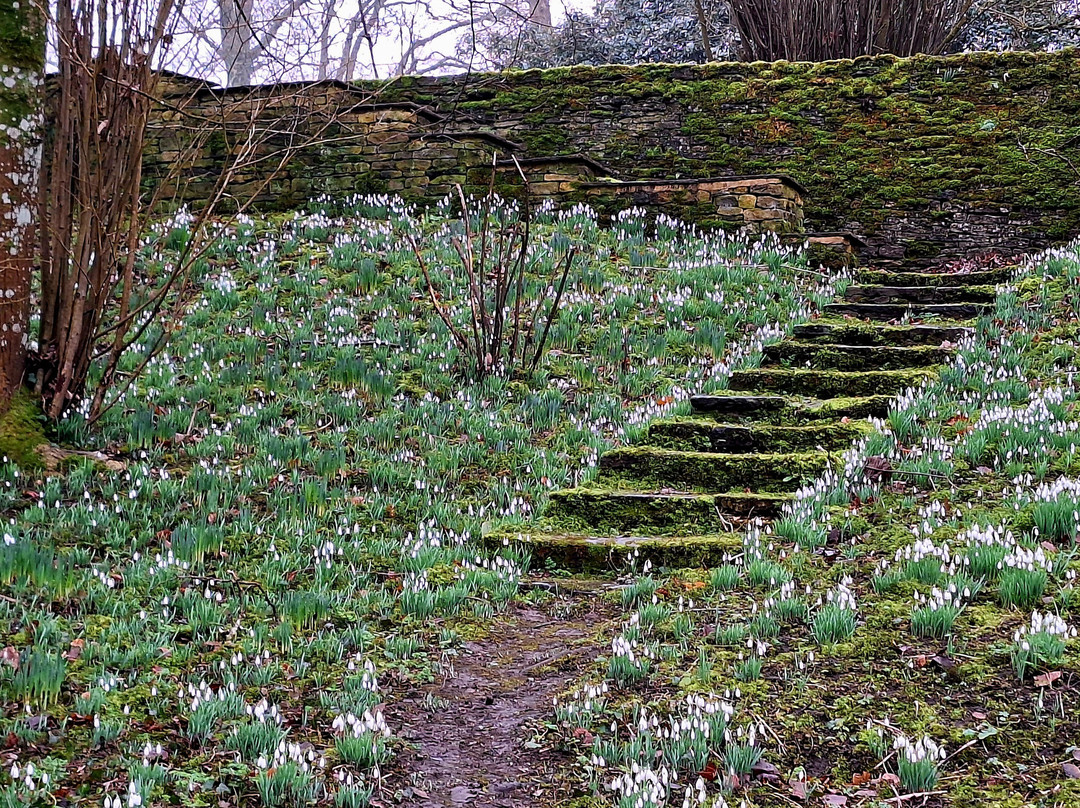 Cerney House Gardens景点图片