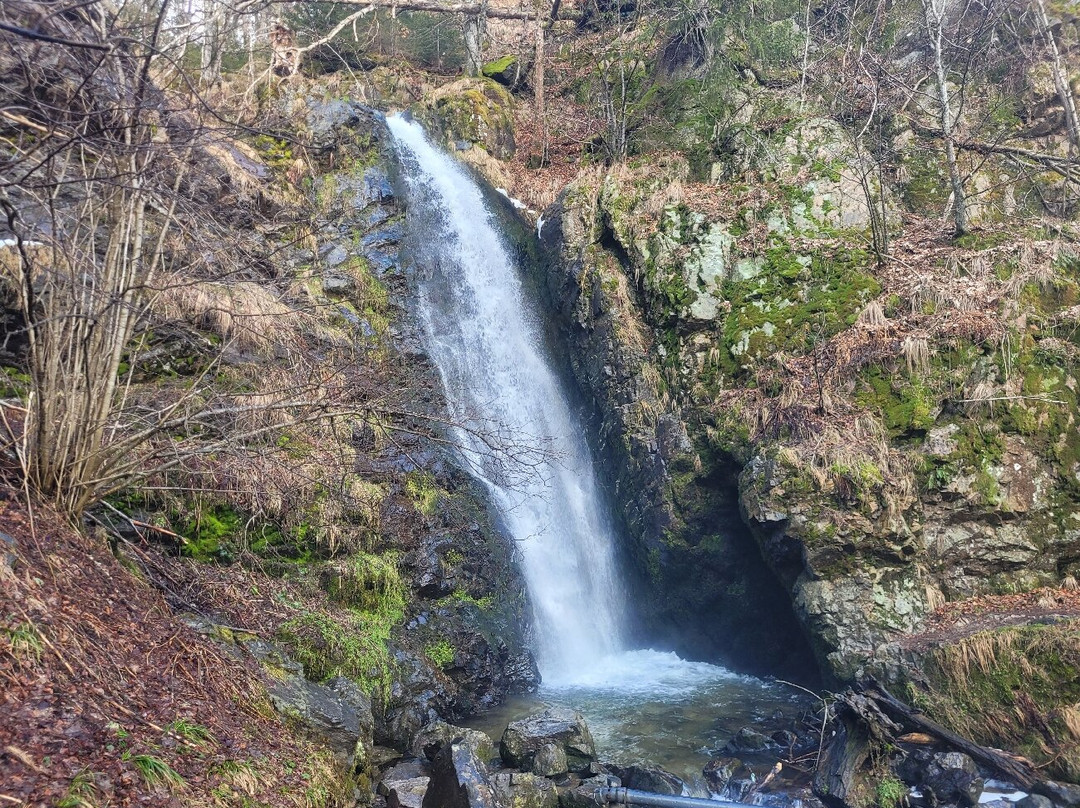 Blackforestline Hangebrucke-托特瑙必去景点