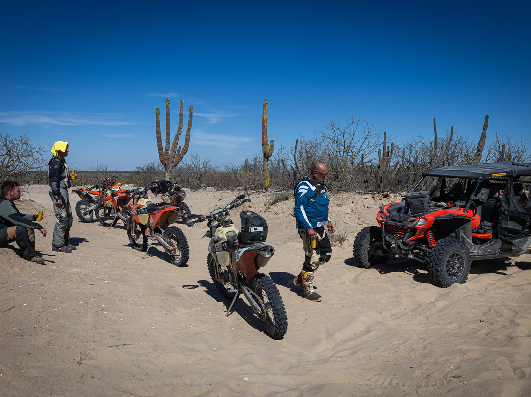 Captain Baja-Los Barriles必去景点