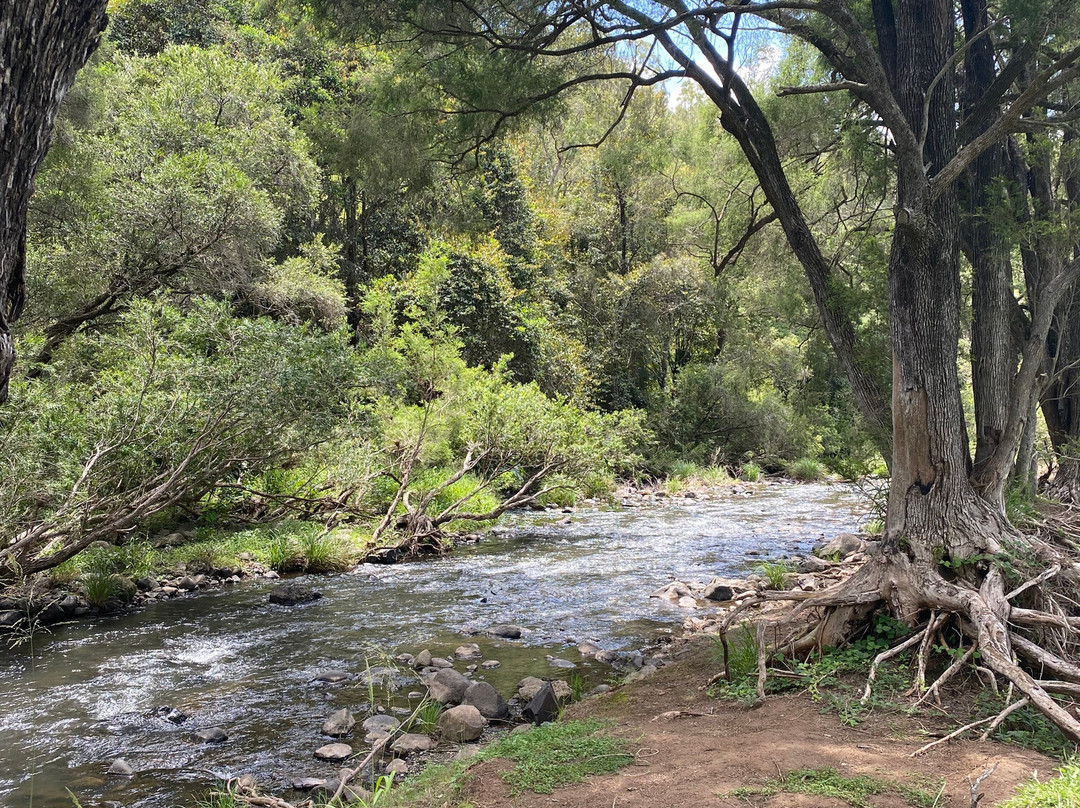 O’Reilly’s Canungra Valley Vineyards-卡伦格拉必去景点