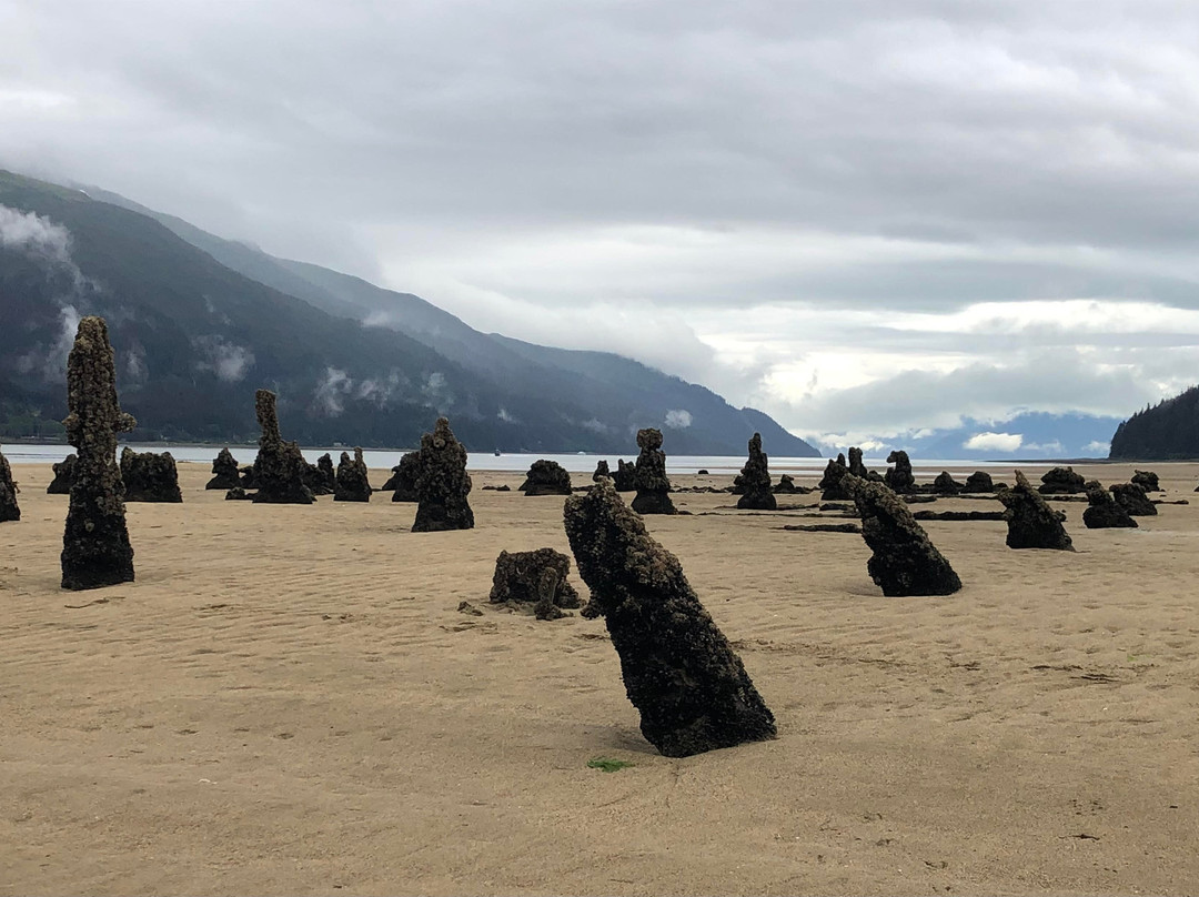 Treadwell Historic Mine Trail-Douglas必去景点