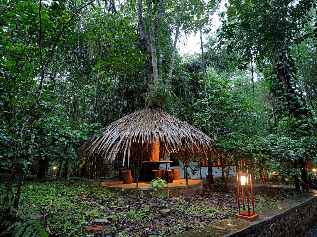 Coffee Acres Plantation Resort主图