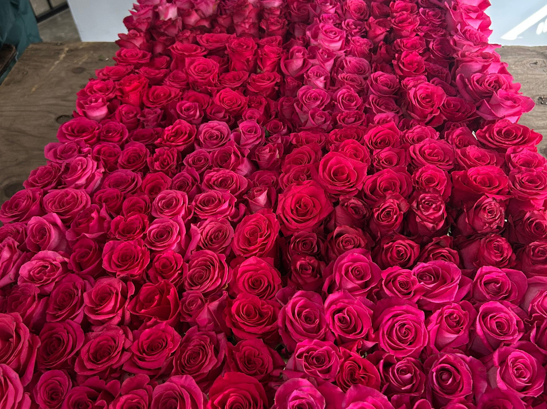 Rose Parade-帕萨迪纳必去景点