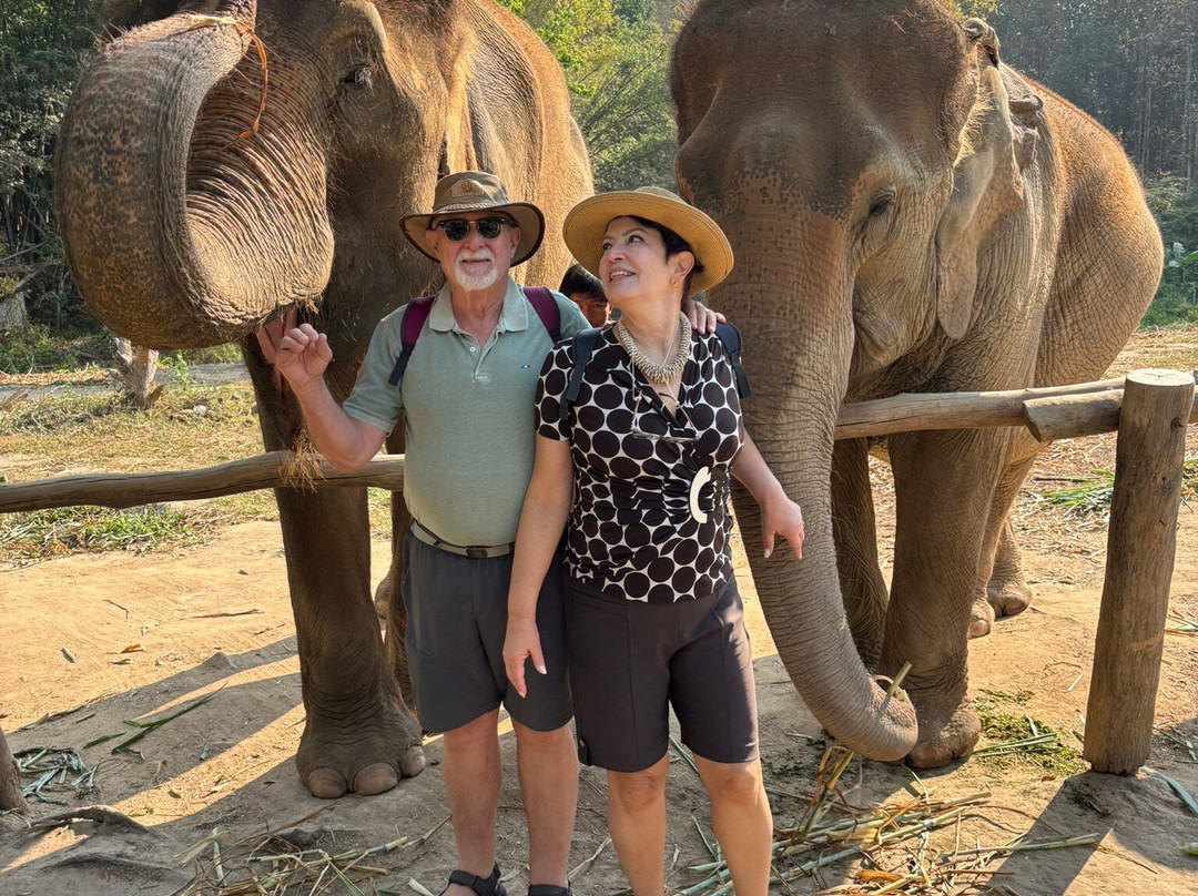 Thai Elephant Care Center-夜林必去景点