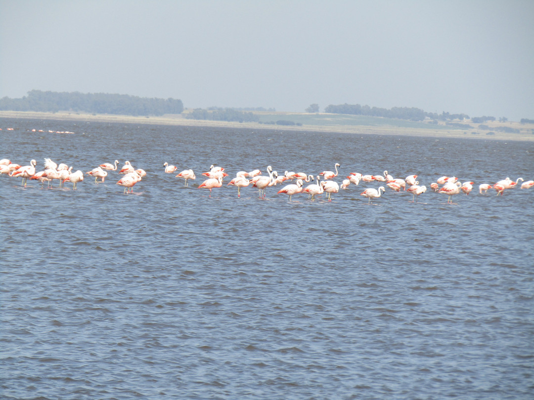 Lago Epecuen-Carhue必去景点