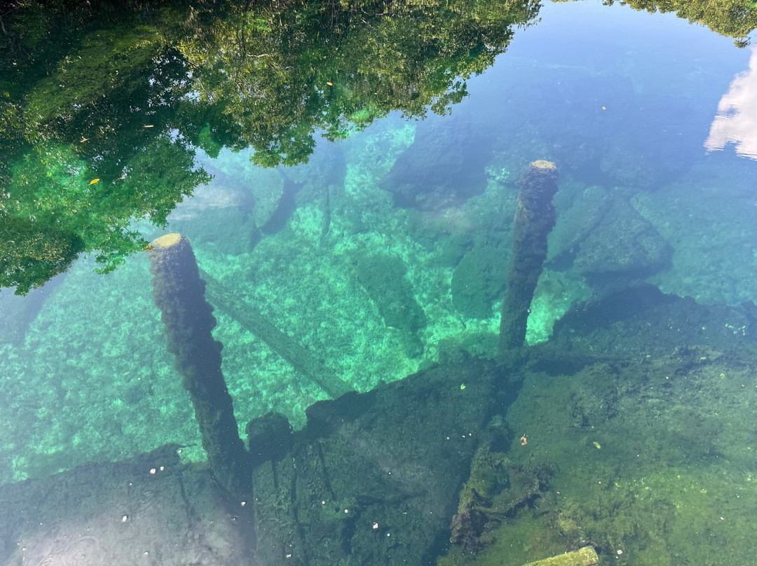 Waternauts Dive Center-梅里达必去景点