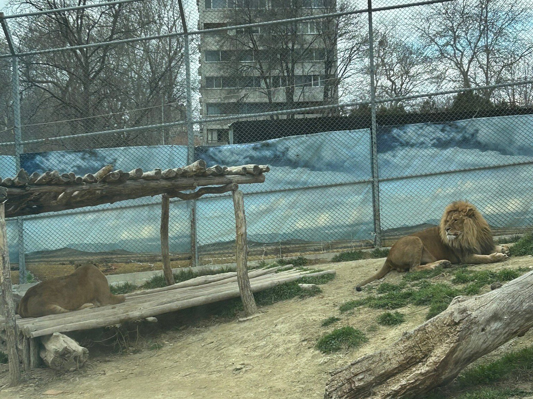 Zoopark-瓦尔纳必去景点