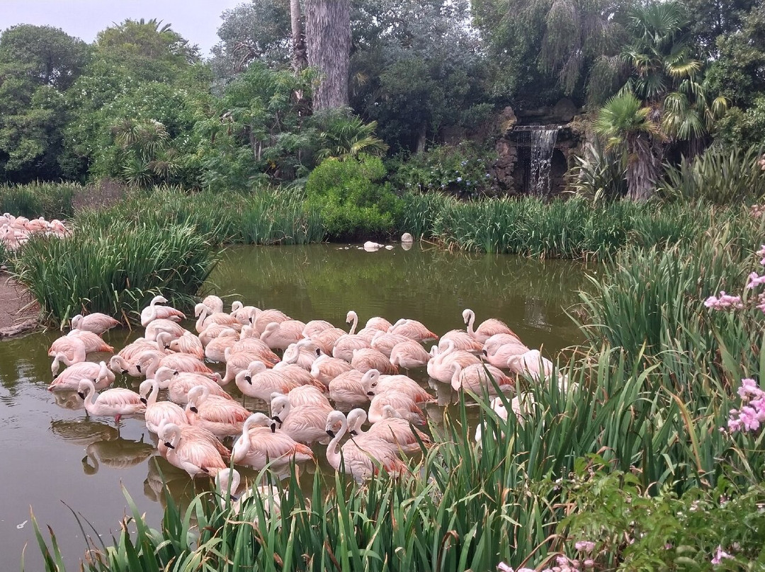Mundo Marino-圣克莱门特雷图尤必去景点