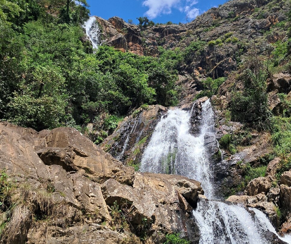 Reserva Natural da Cachoeira do Cerradao景点图片
