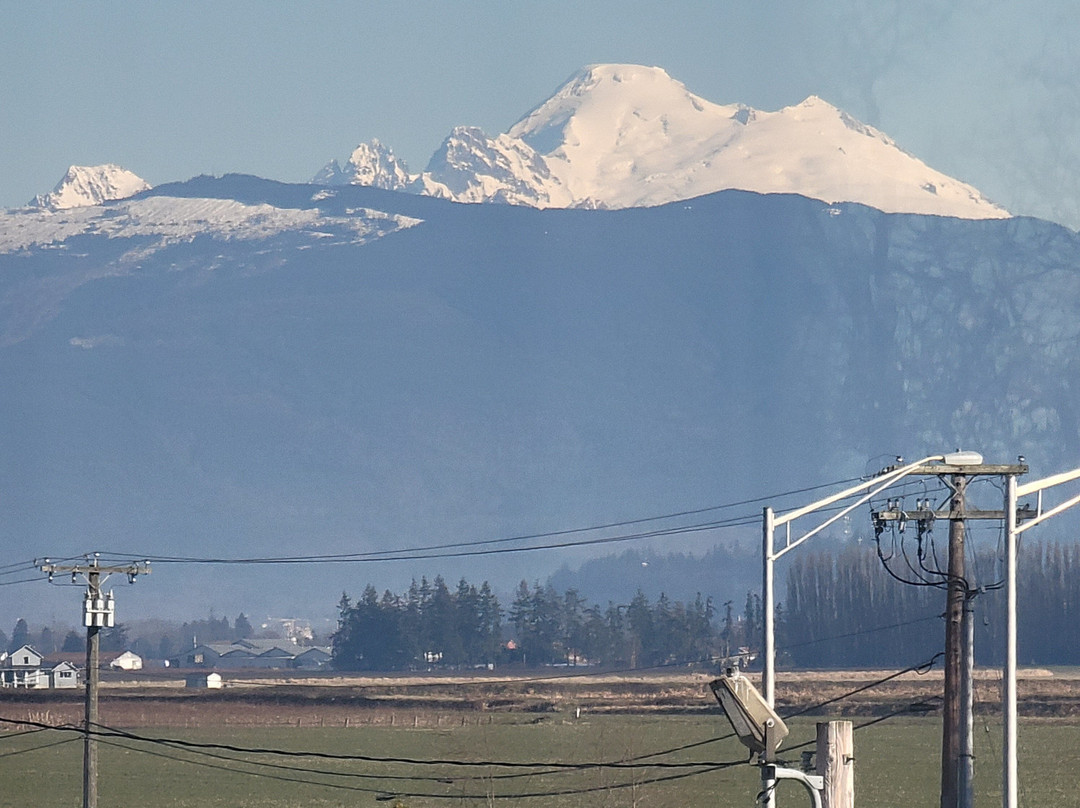 The Heron Inn & Day Spa主图