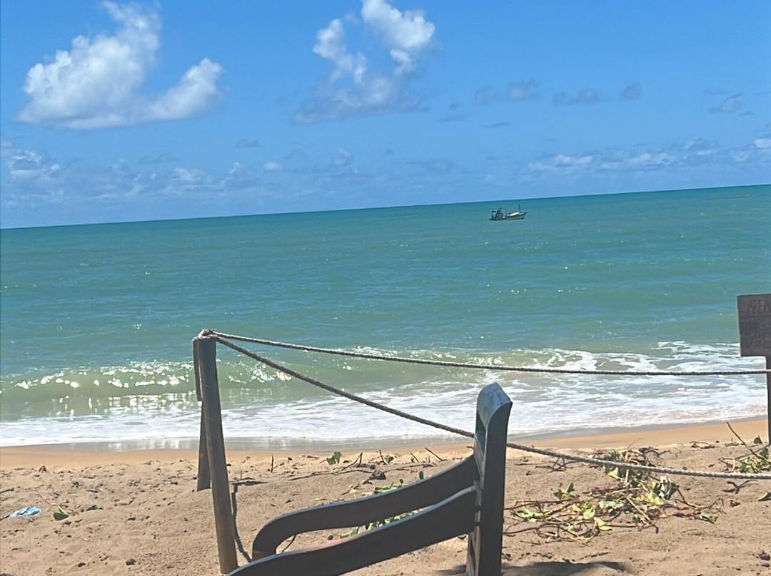 Arraial Trip Experience-Arraial d'Ajuda必去景点