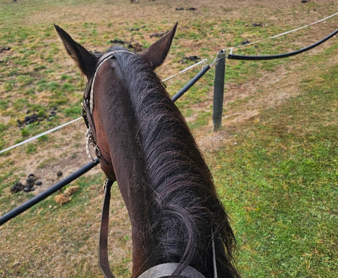Westray Adventures - Horse Treks & Quad Tours-蒂阿瑙必去景点
