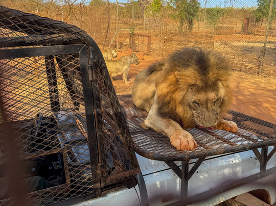 The Motherland Experience Travel Tour-达喀尔必去景点