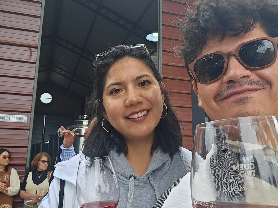 Gamboa - Viñas & Bodega景点图片