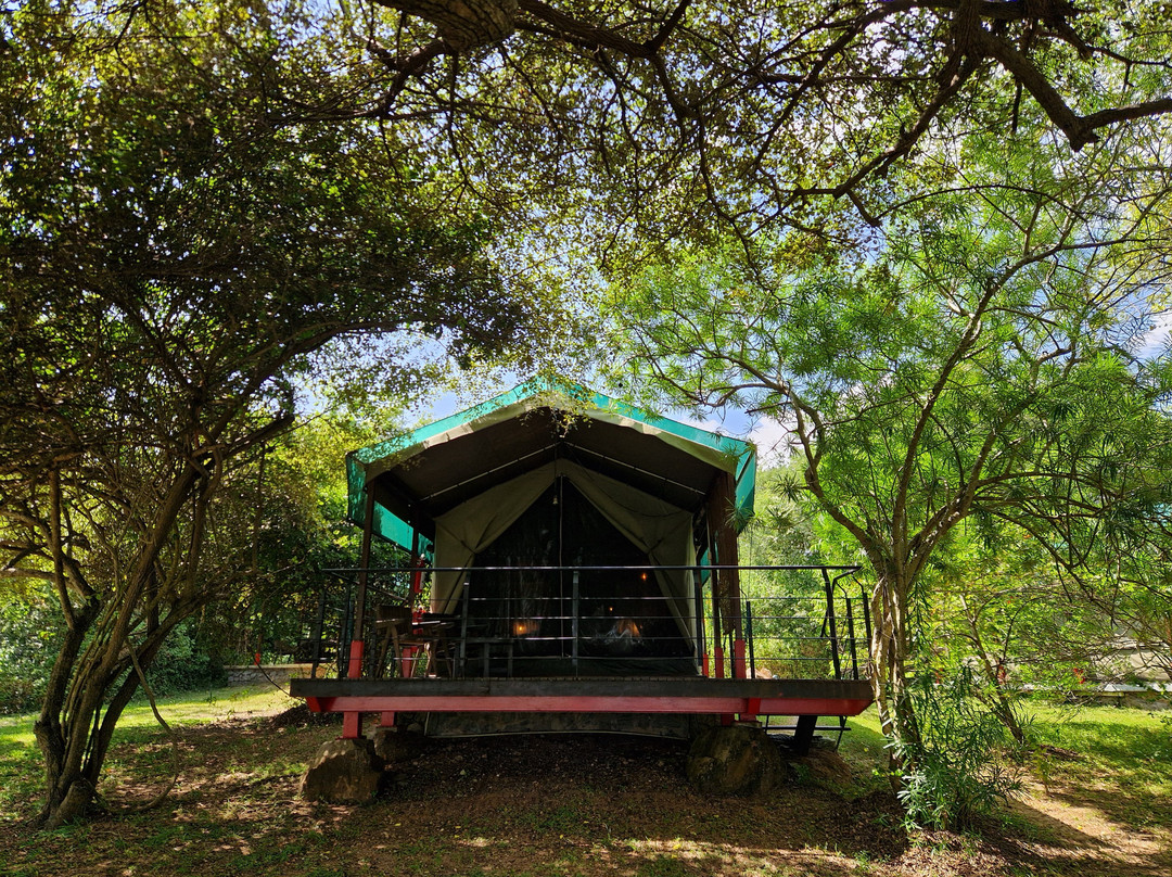 Flameback Eco Lodge主图