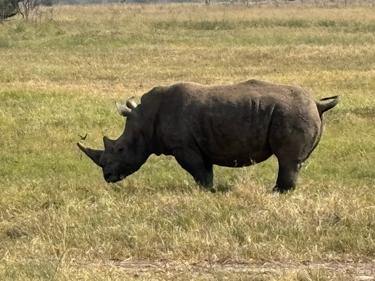 Hope Tours Africa-吉佳利必去景点