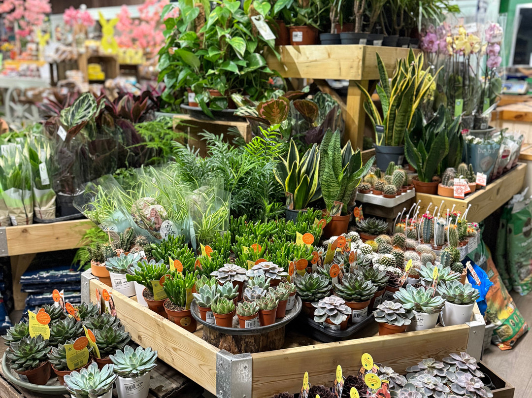 Southwood Garden Centre景点图片