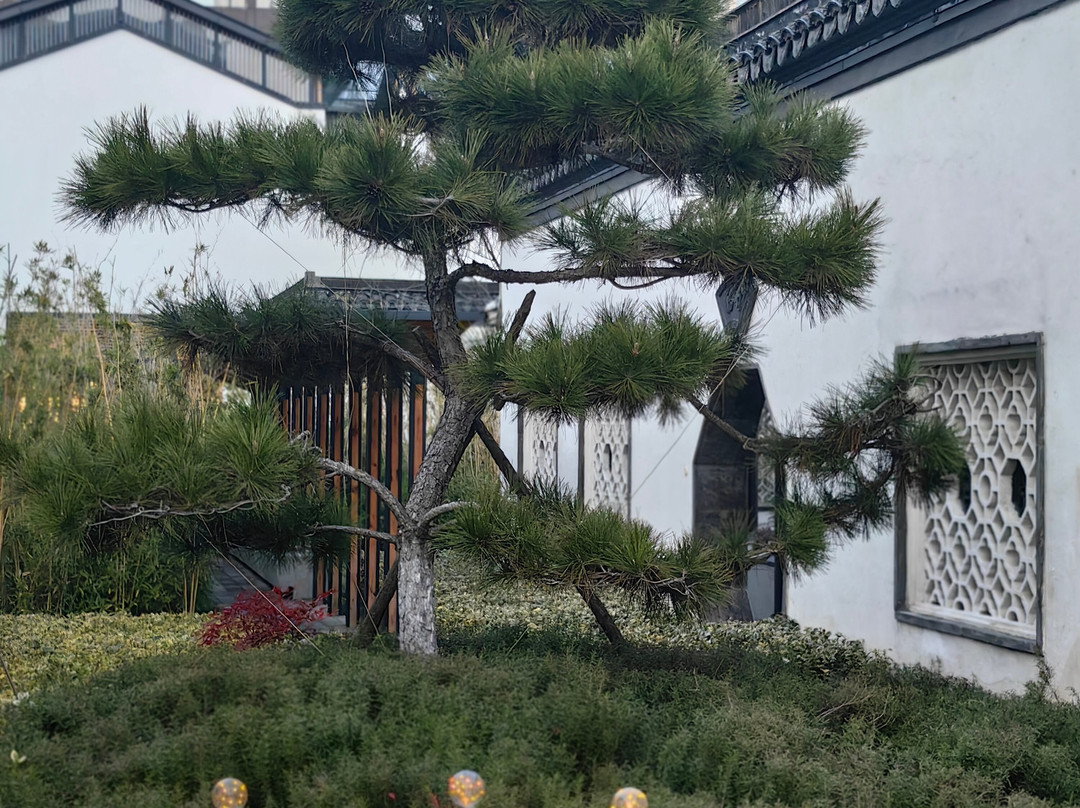 青果巷-常州市必去景点