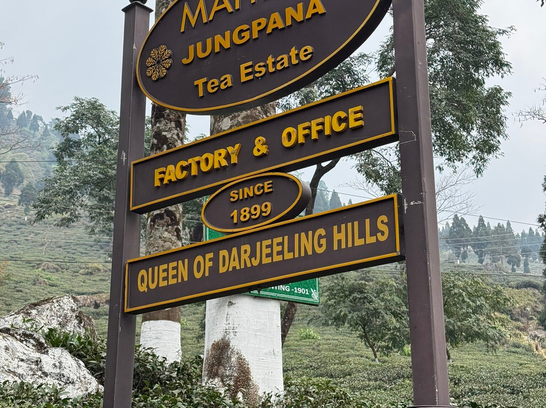 Mayfair Jungpana