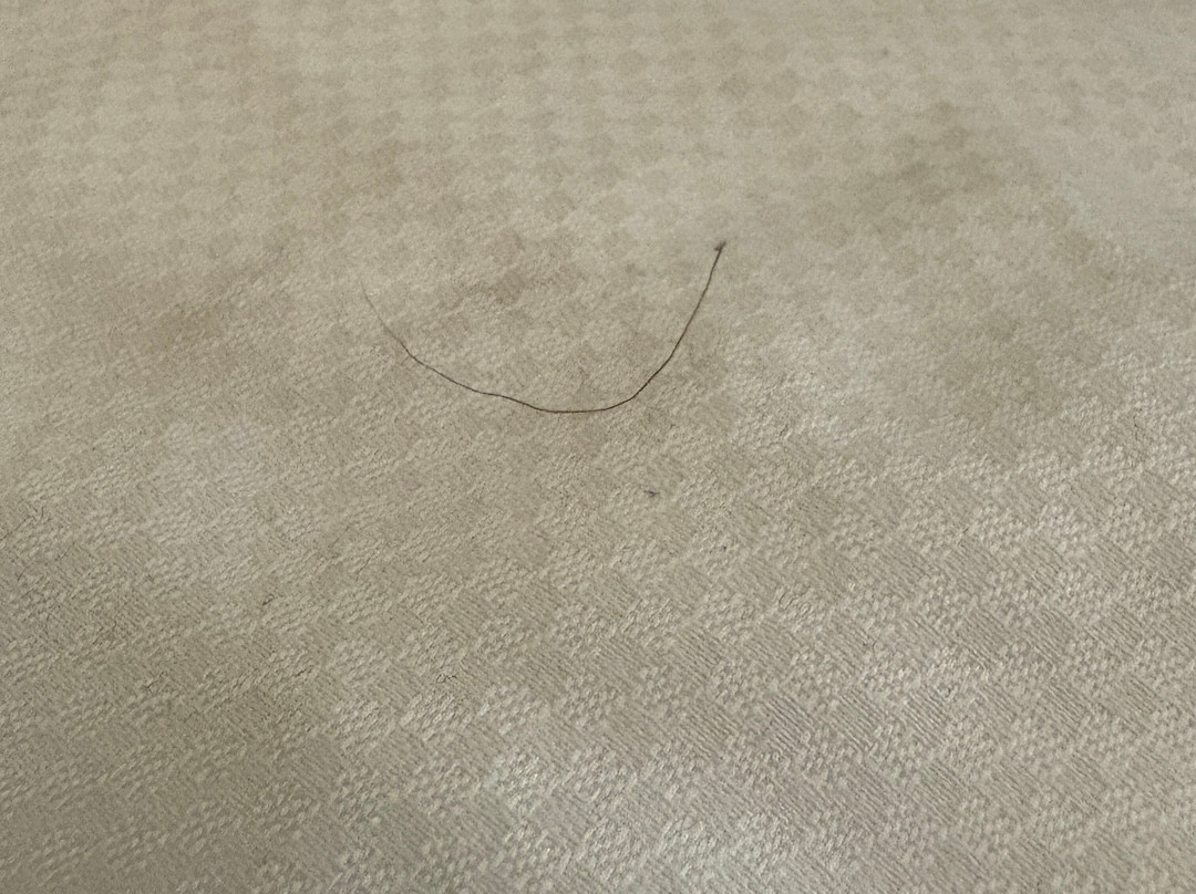 Comfort Inn & Suites主图