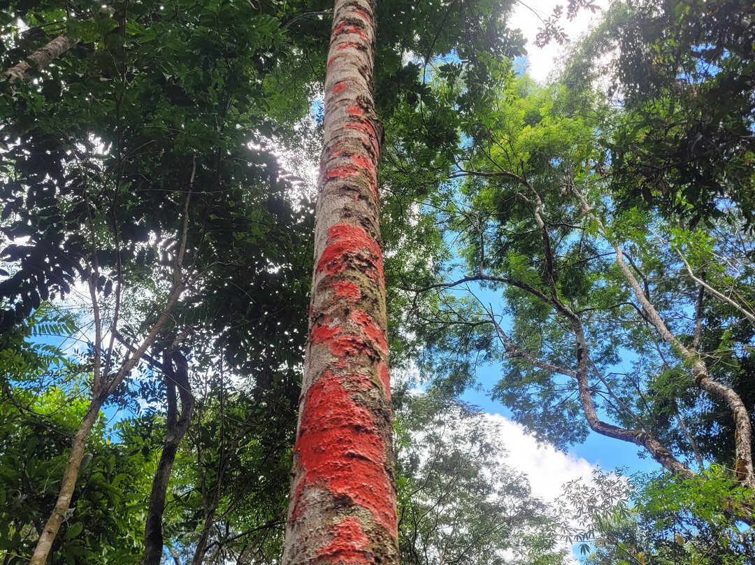 Cachoeira de São Bartolomeu-Sao Bartolomeu必去景点