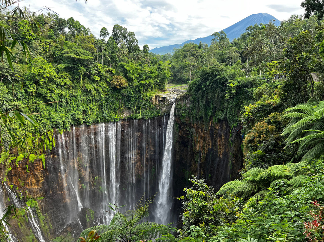 Warna Indonesia Tour景点图片
