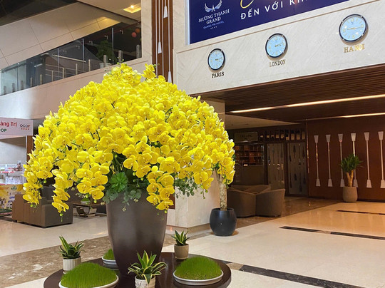 Muong Thanh Quang Tri Hotel主图