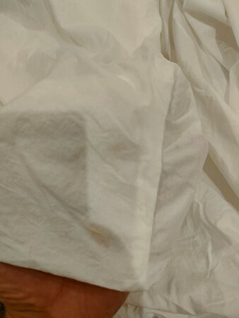 Vinholidays Fiesta Phu Quoc主图