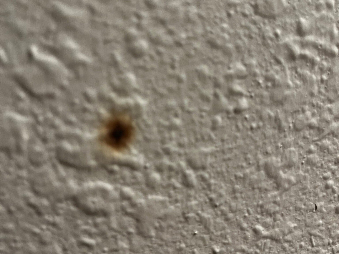 MainStay Suites Washington Dulles Airport