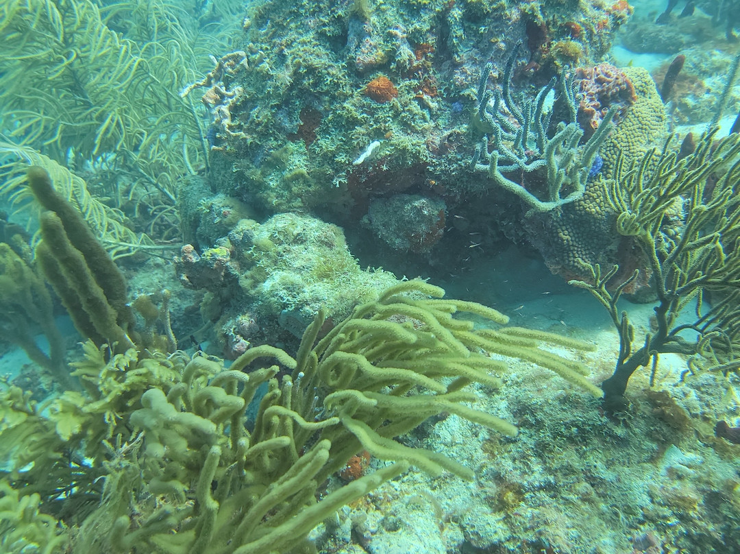 Cwori Dive Center-Smith Bay必去景点