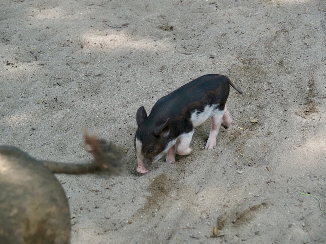 TK Tour-塔林必去景点