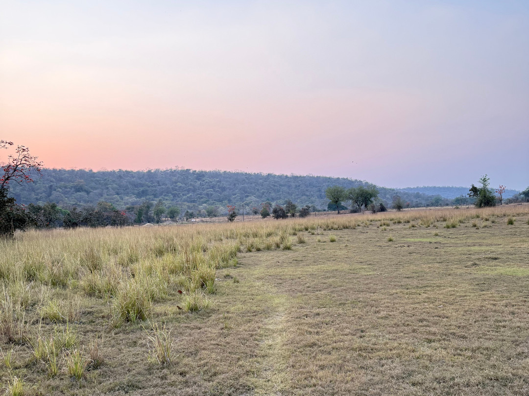 Tigress@ghosri - Tadoba主图