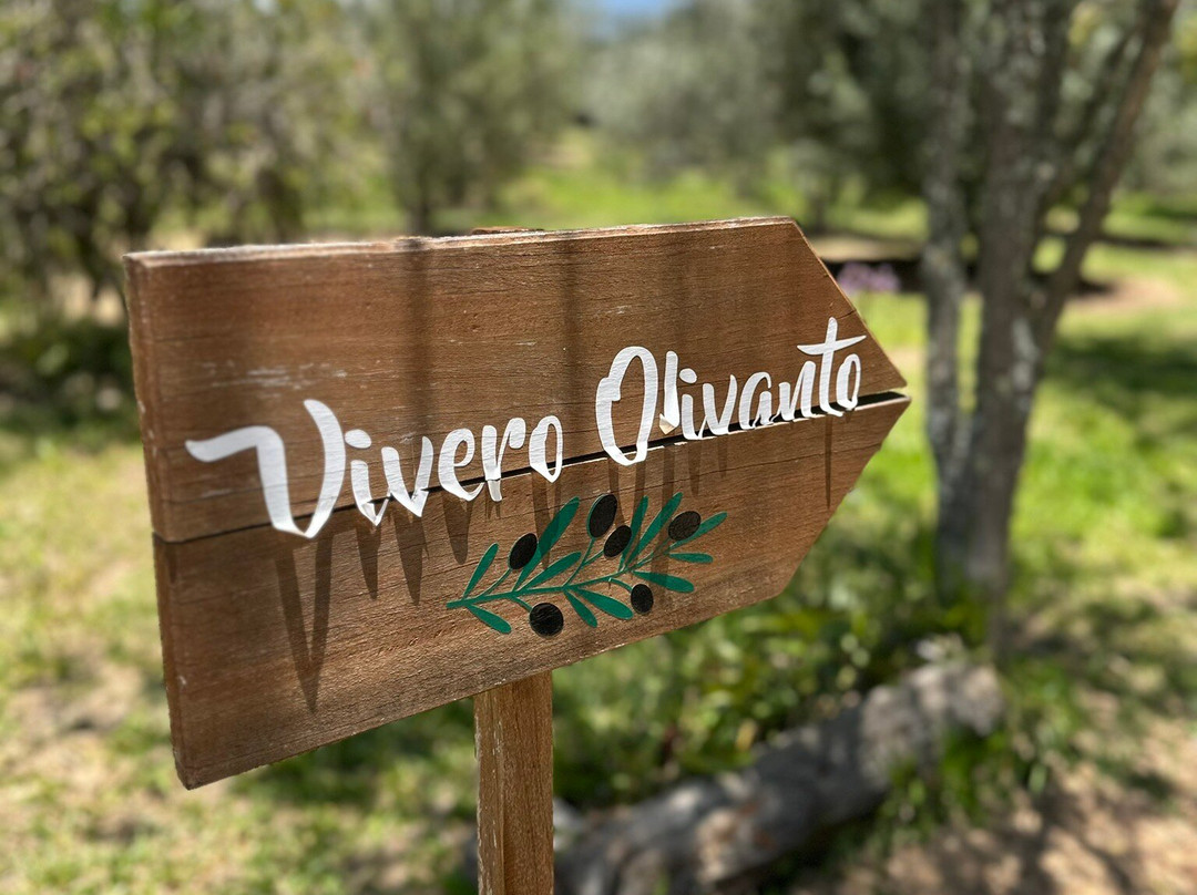 Huerto Olivanto-莱瓦镇必去景点