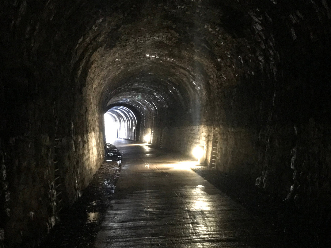 Plym Valley Cycle Trail-普利茅斯必去景点