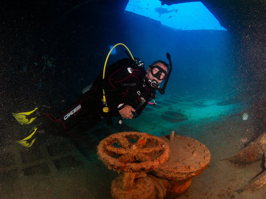 Aicádiving - Centro De Mergulho - Recife-累西腓必去景点