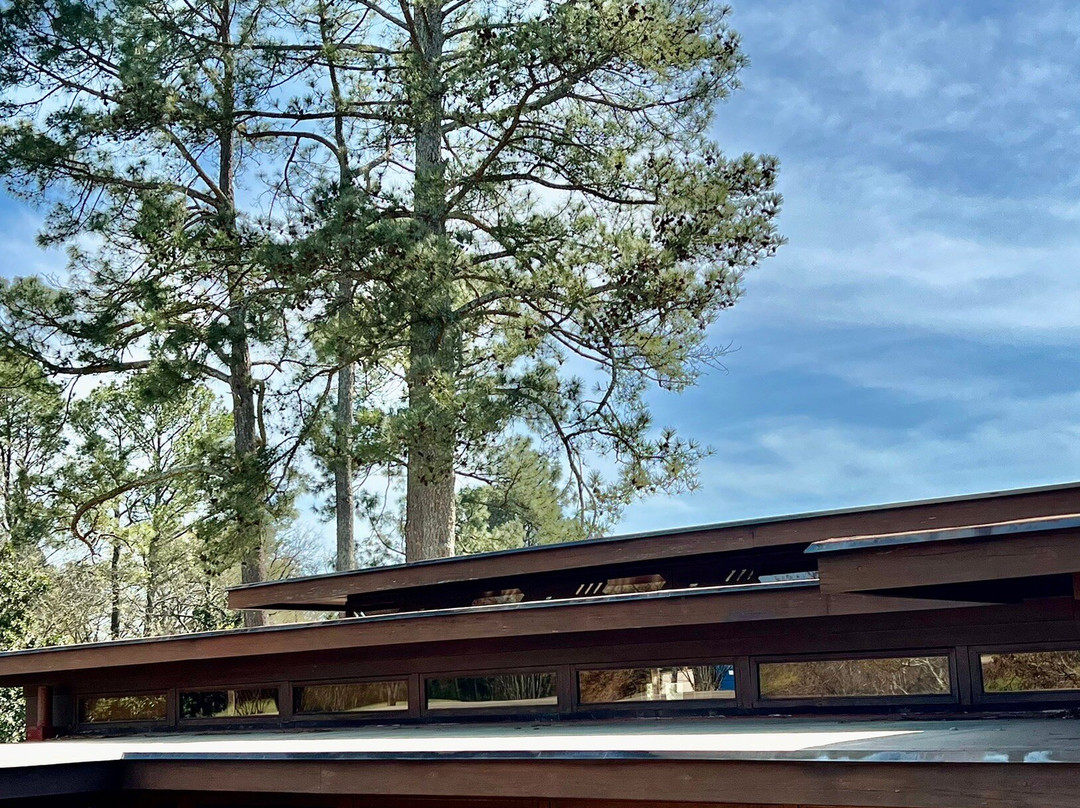 Frank Lloyd Wright's Rosenbaum House景点图片