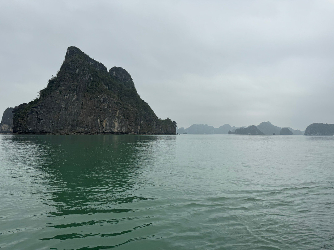 Amour Cruise-Ha Long City必去景点
