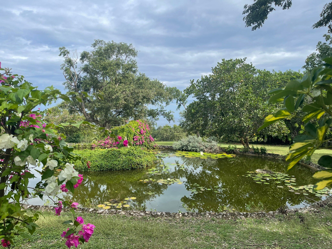 玫瑰堂大宅-罗斯霍尔必去景点