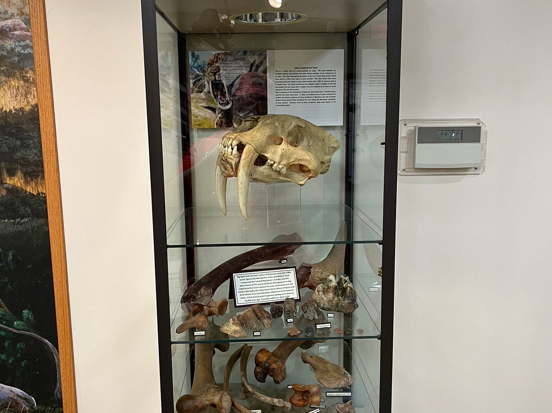Big Bone Lick State Historic Site景点图片