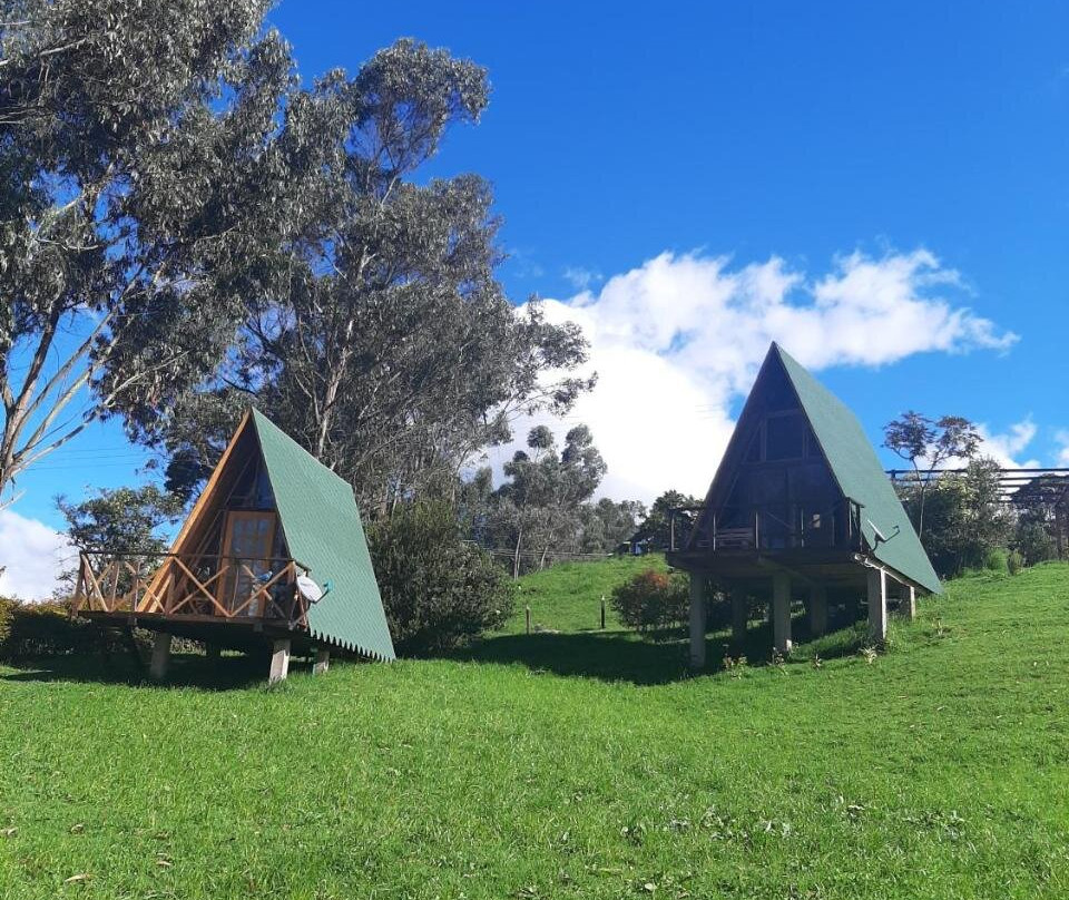 Animals Glamping