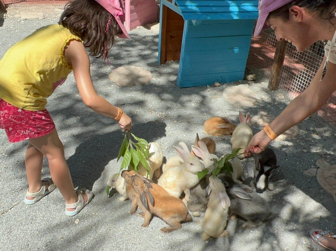 South Farm Panglao- Bohol-Panglao必去景点