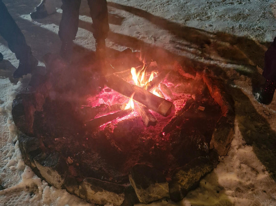 Sleigh Ride in the Tatra National Park-扎科帕内必去景点