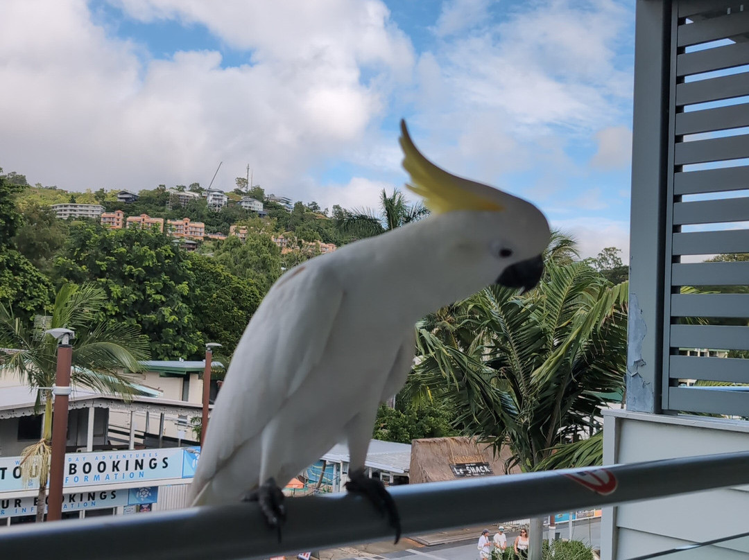 Heart Hotel and Gallery Whitsundays主图