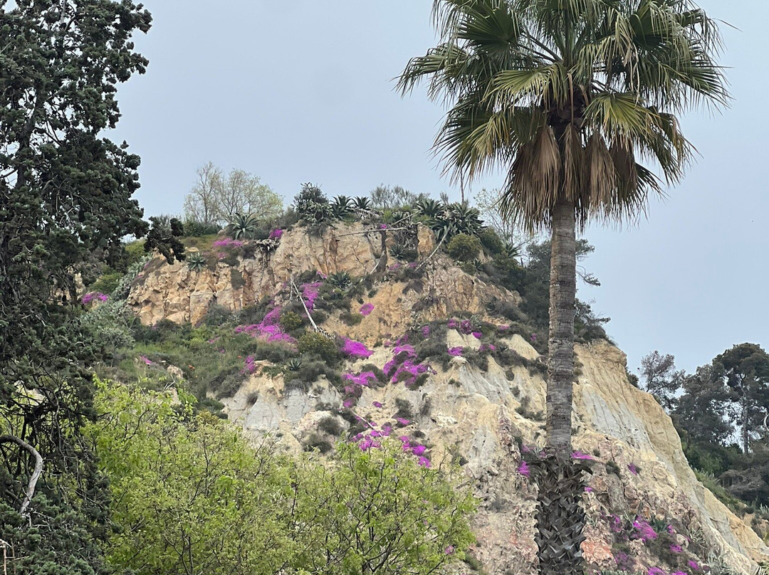 Hop-on Hop-off-巴塞罗那必去景点