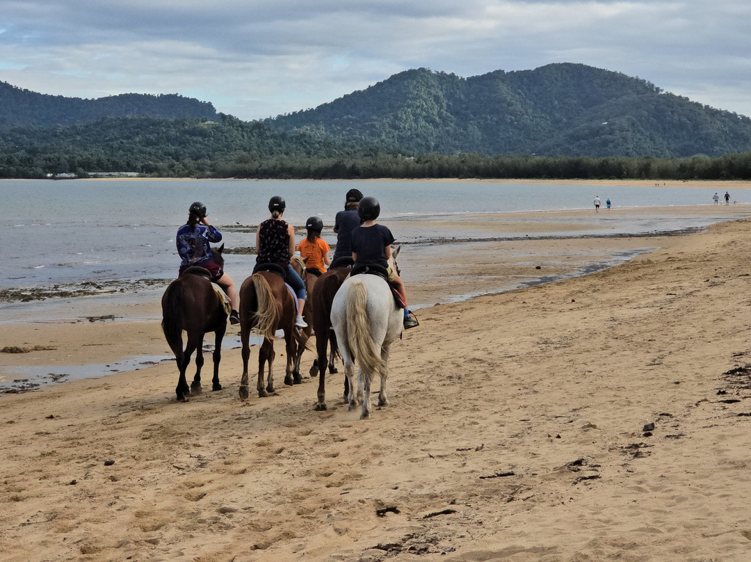 Kurrimine Beach Horse Rides景点图片