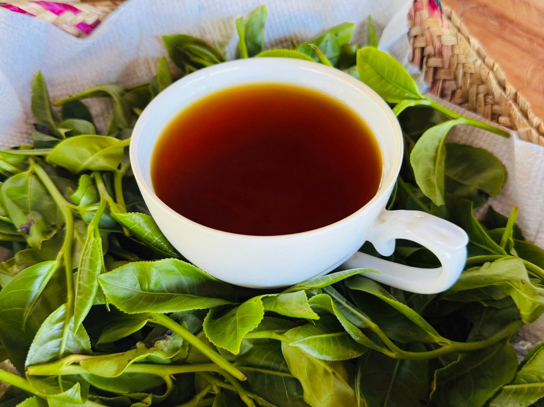 Organic Tea Queen - Ella-埃勒必去景点